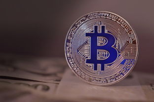 比特币与BTC近况，从边缘到主流的演变与未来展望