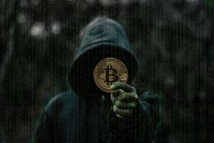 BTC最新数据深度解读，比特币市场动态与未来走势展望