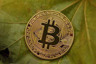 Oyi欧e比特币BTC介绍图，新手入门的实用参考