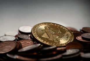 数字黄金的起源，欧义平台比特币创世块交易纪实