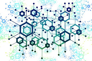 深度解析约币，是集资手段还是金融陷阱？