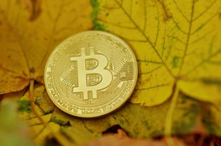 比特币BTC，当共识与资本共振，新风口下的机遇与迷思
