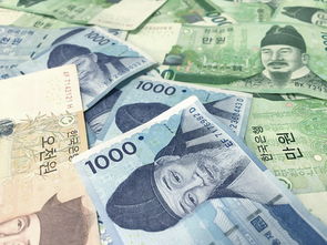 飞亚币赚钱全攻略与风险避坑指南