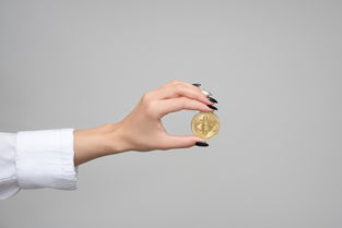 狗币赚钱吗深度解析投资风险与实战策略