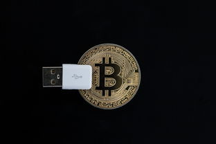 oyi数字钱包下载，先辨真伪再行动