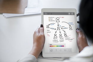 TP钱包蝰蛇版全面解析 安全高效的数字资产管理工具