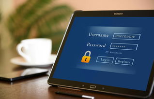 TP钱包用户全攻略 从注册到安全使用的实用指南