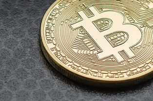 首先需要明确的是，比特币等虚拟货币在我国不具有法定货币地位，虚拟货币交易活动不受法律保护，存在极大的金融风险。同时，社保的购买需通过正规的社保经办机构或合法渠道，与虚拟货币交易毫无关联