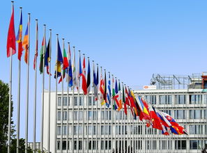 易欧注册国家解析，如何查询与验证企业注册信息