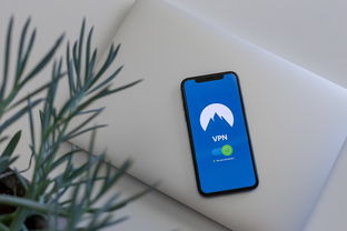 冷钱包登录IP 安全配置与使用全指南