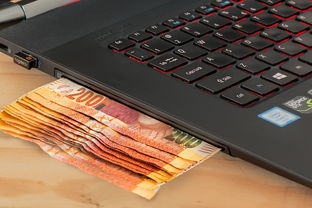 tp钱包怎么上交易完整操作指南与避坑提示